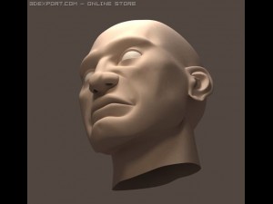 head 3D Модель