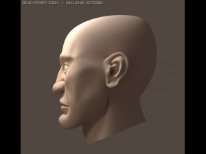 head 3D Модель