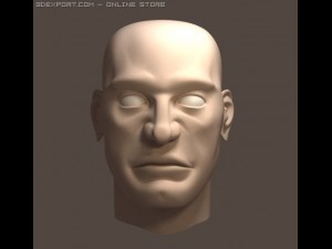head 3D Модель