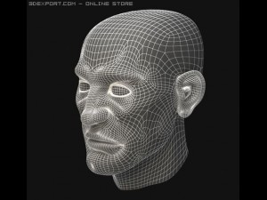 head 3D Модель