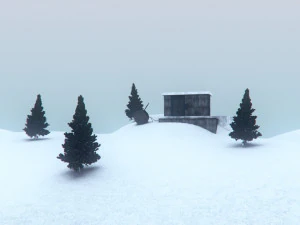 cabin in the snow 3D Model