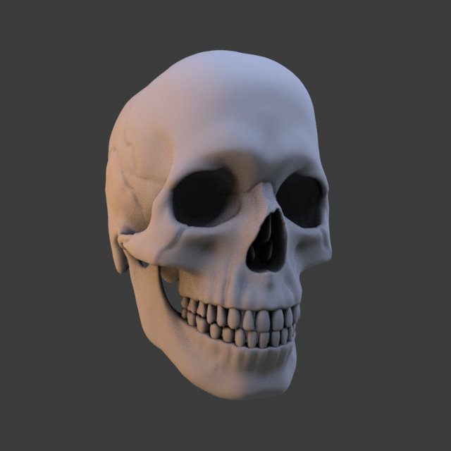 high poly skull Model 3D .c4d .max .obj .3ds .fbx .stl .blend 