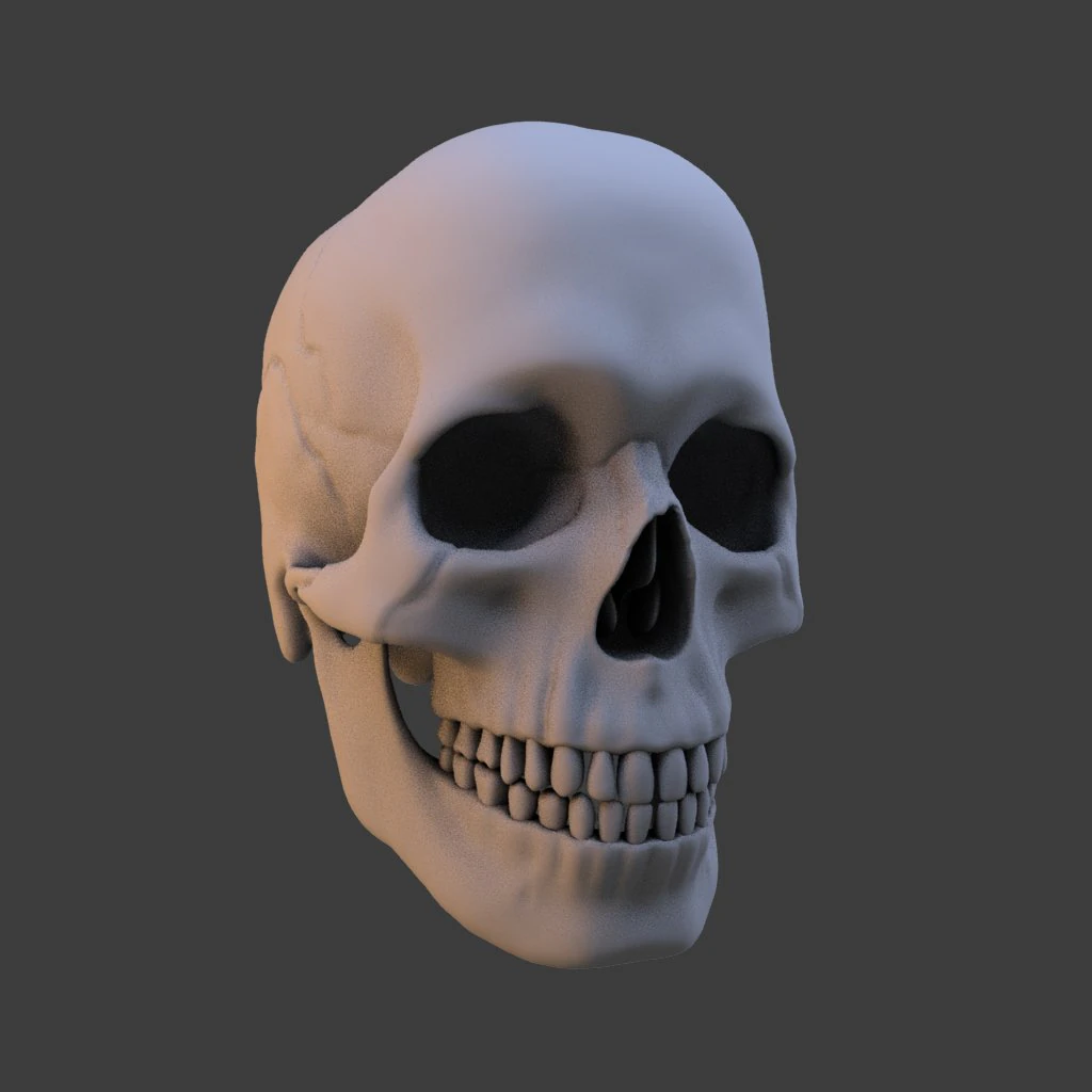 high poly skull 3D Model .c4d .max .obj .3ds .fbx .stl .blend 