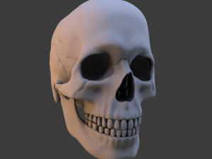high poly skull 3Dモデル