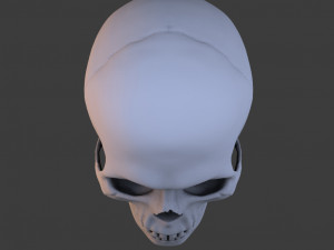 high poly skull Model 3D