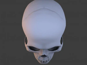 high poly skull 3D Model