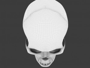 high poly skull Model 3D