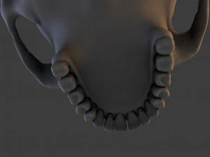 high poly skull 3D Model