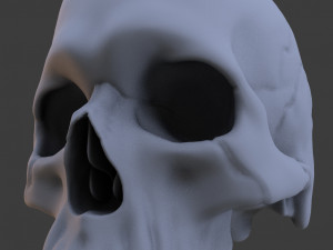 high poly skull Model 3D