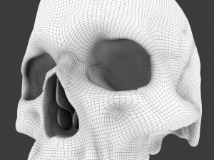 high poly skull Model 3D