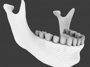 high poly skull Model 3D