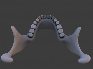 high poly skull Model 3D