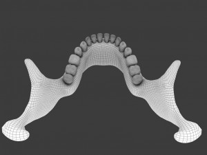 high poly skull Model 3D