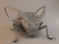 Insects and beetles pack 3D मॉडल