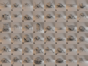 Insects and beetles pack 3D Model