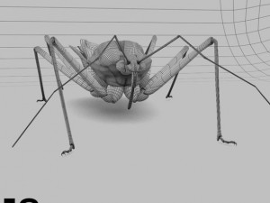 Insects and beetles pack 3D Model