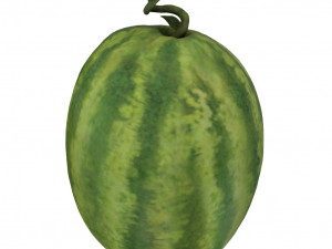 fruits pack - 24 fruits 3D Модель