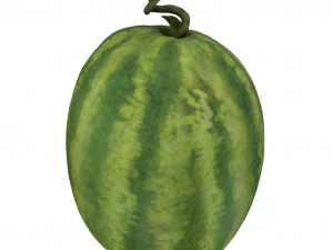 fruits pack - 24 fruits 3D Model