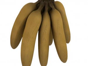 fruits pack - 24 fruits 3D Model