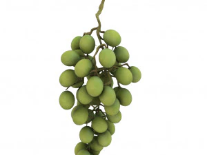 fruits pack - 24 fruits 3D Model