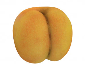 fruits pack - 24 fruits 3D Model