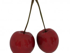 fruits pack - 24 fruits 3D Model