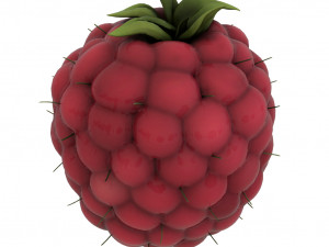 fruits pack - 24 fruits 3D Модель