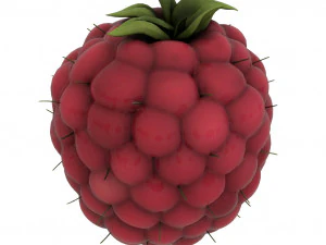 fruits pack - 24 fruits 3D Model