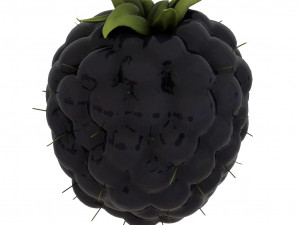 fruits pack - 24 fruits 3D Модель