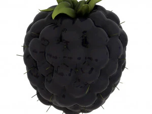fruits pack - 24 fruits 3D Model