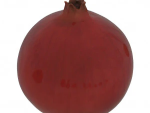 fruits pack - 24 fruits 3D Model