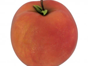 fruits pack - 24 fruits 3D Model