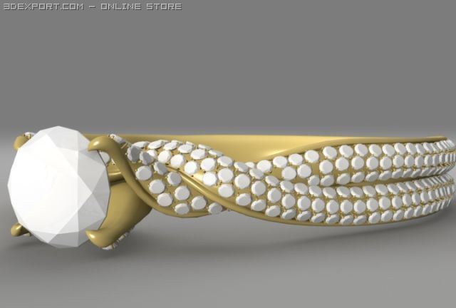 ring Modèle 3D .c4d .max .obj .3ds .fbx .stl .blend 