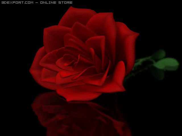 rose 3D Model .c4d .max .obj .3ds .fbx .stl .blend 