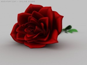rose 3D मॉडल