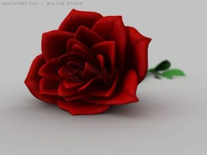 rose 3D Model