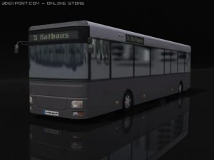 busa 3D Model