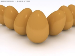 egg Model 3D