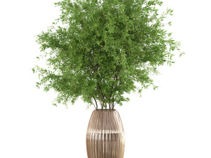 Bouquet - Green plant 01 Model 3D
