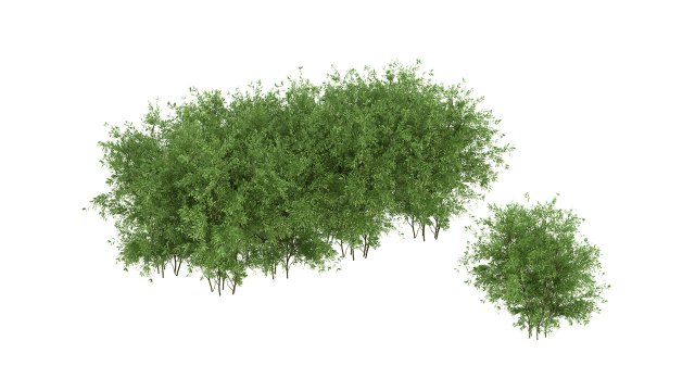 Untidy boxwood hedge - Buxus Modello 3D .c4d .max .obj .3ds .fbx .stl .blend 
