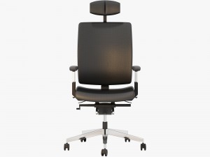 dauphin high way executive 3D 모델