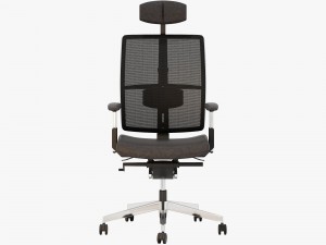 dauphin high way mesh Modèle 3D