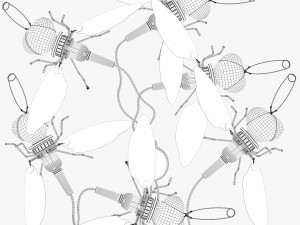 oligo mademoiselle filou 3D 模型