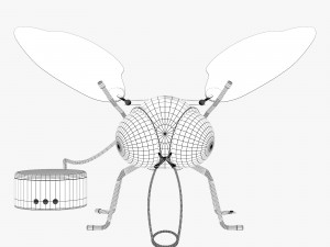 oligo mademoiselle filou 3D 模型