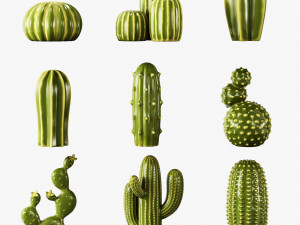 ceramic cactus set 3D 모델