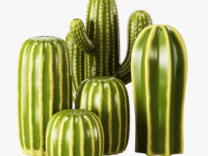 ceramic cactus set 3D Model