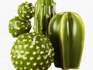 ceramic cactus set Model 3D