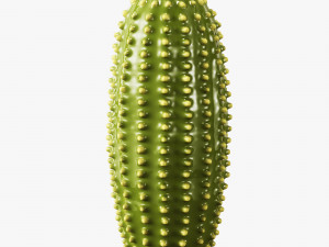 ceramic cactus set Model 3D