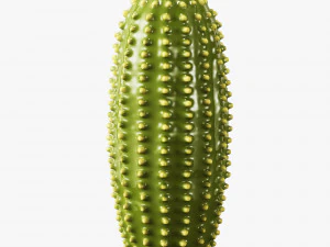 ceramic cactus set 3D Model