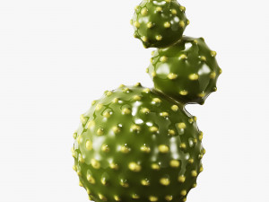 ceramic cactus set Model 3D